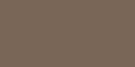 Flagstone Paver - Mocha