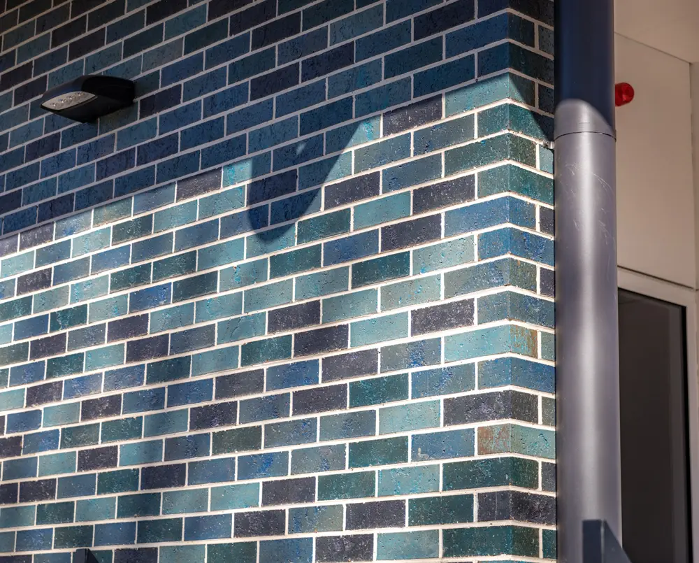 Bowerbirds Brick - Standard