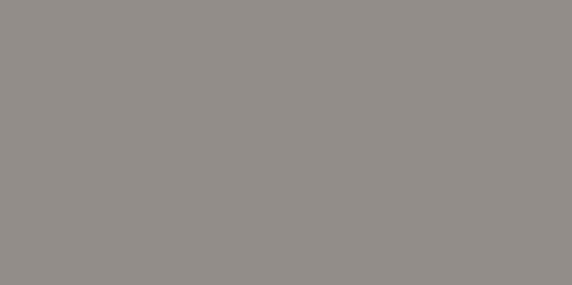 Courtstone Paver - Platinum
