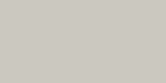 Plazzastone Paver - Pearl